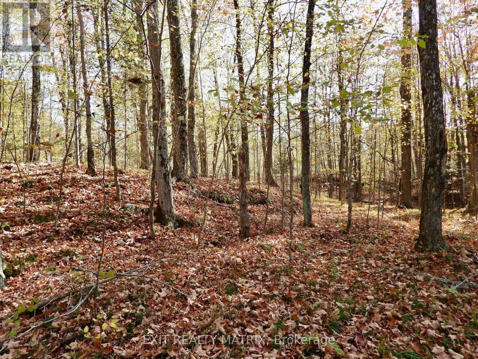 Lot 1 Woodland Park Drive