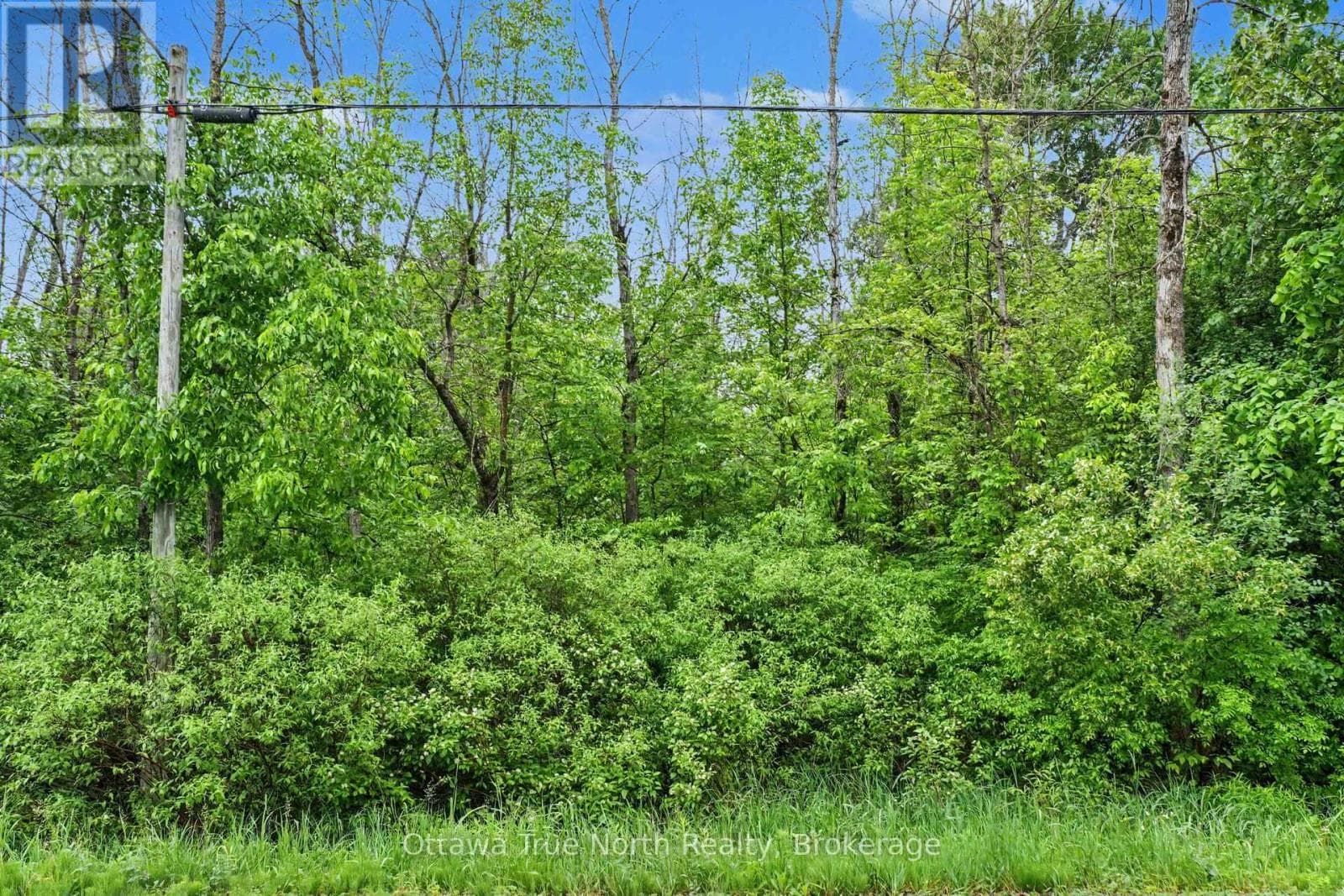 412 Scotch Line Road