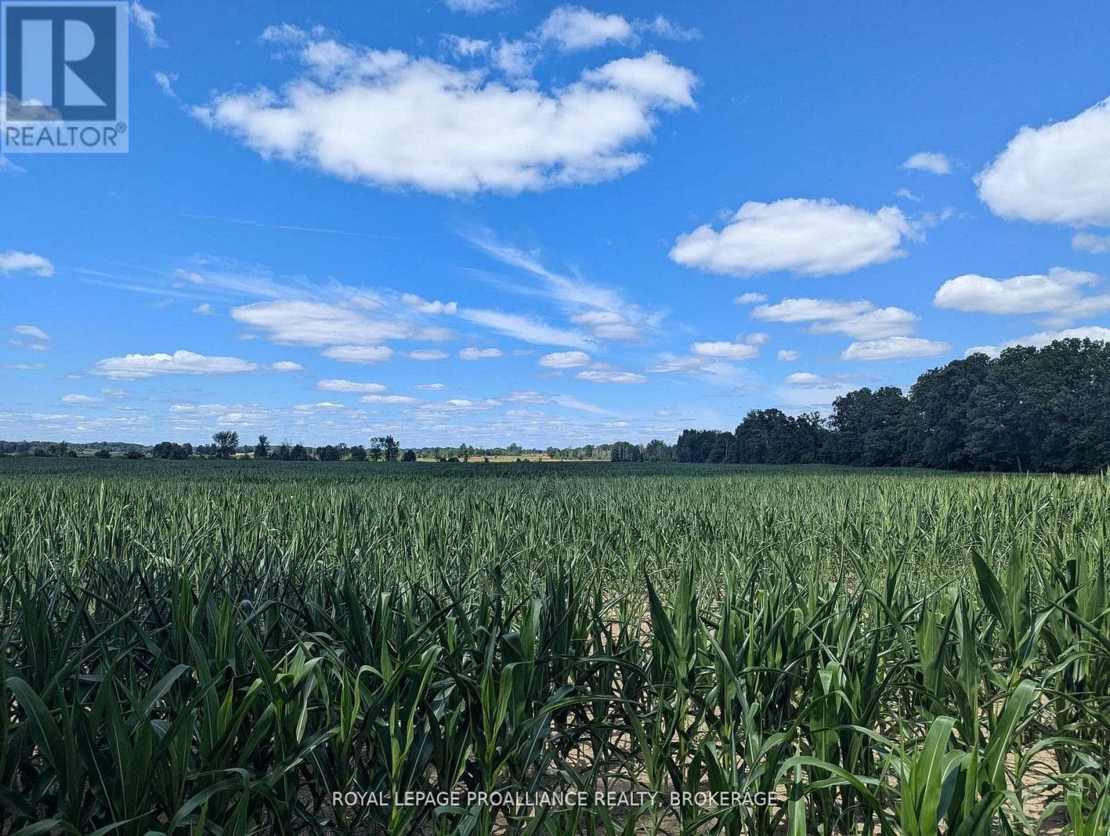 2622 4th Concession Road