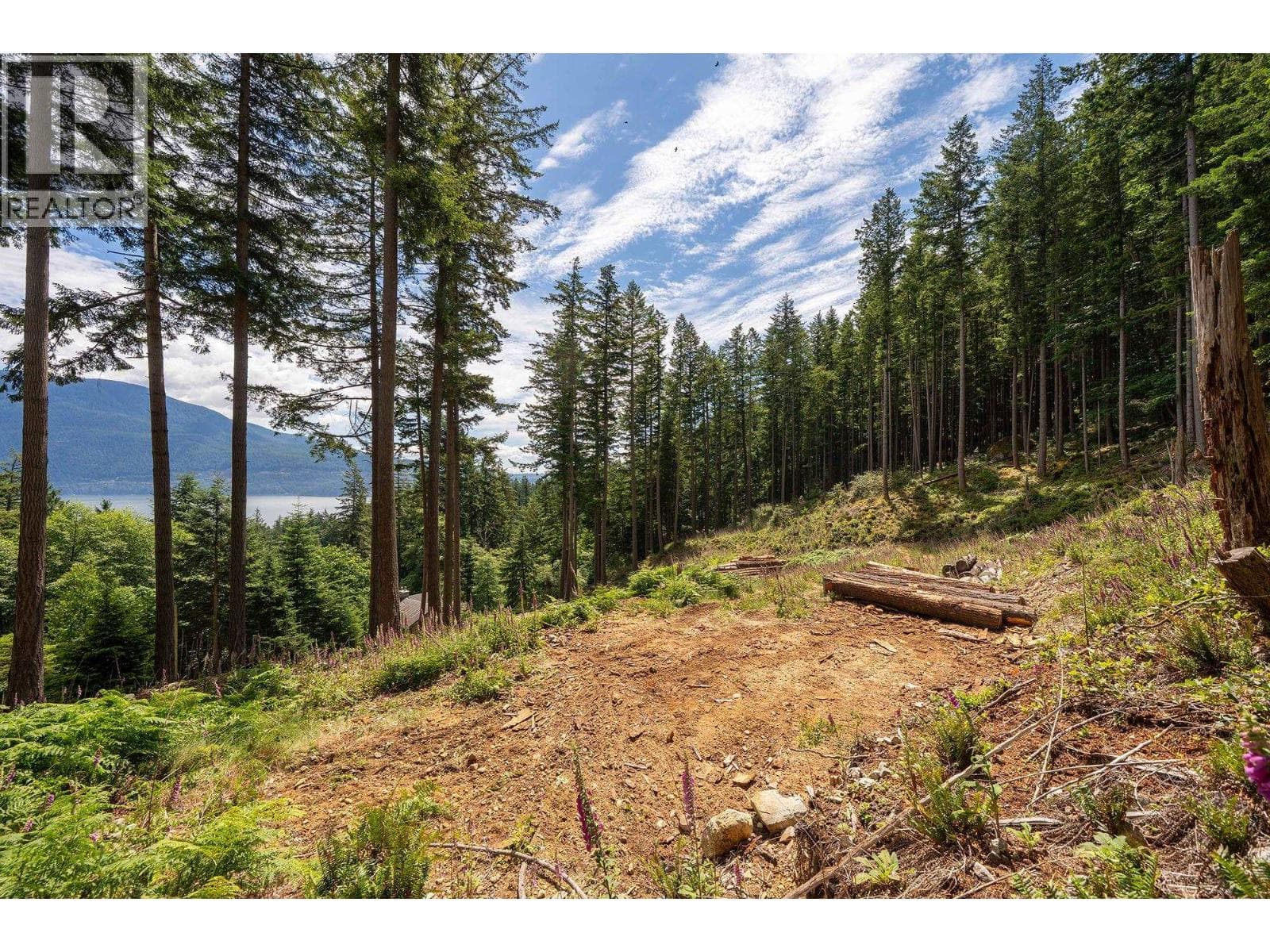 Vacant Land at 393 CREEK Road, Bowen Island, British Columbia - Photo 7 - RE/MAX Garden City Realty