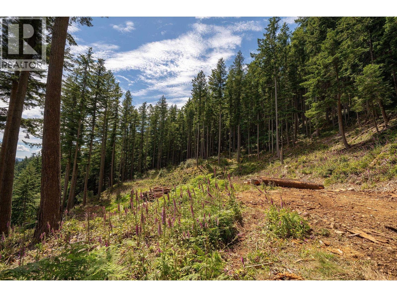 Vacant Land at 393 CREEK Road, Bowen Island, British Columbia - Photo 8 - RE/MAX Garden City Realty