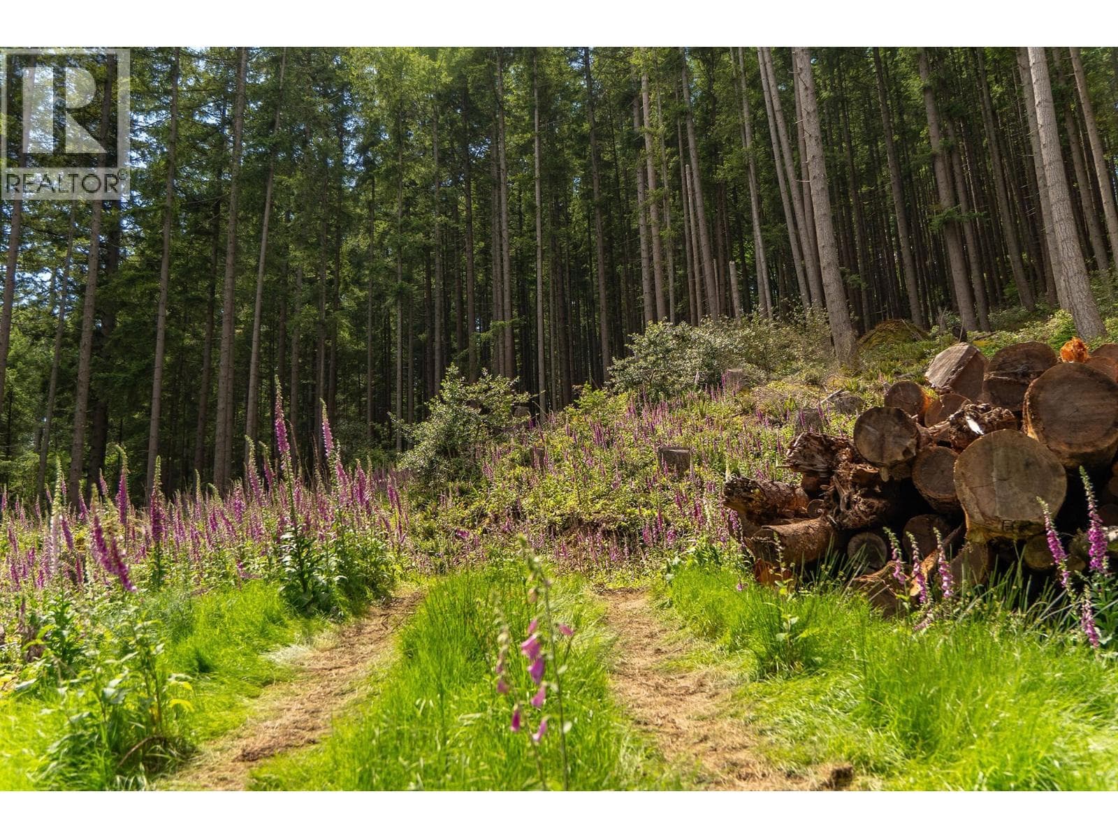 Vacant Land at 393 CREEK Road, Bowen Island, British Columbia - Photo 9 - RE/MAX Garden City Realty