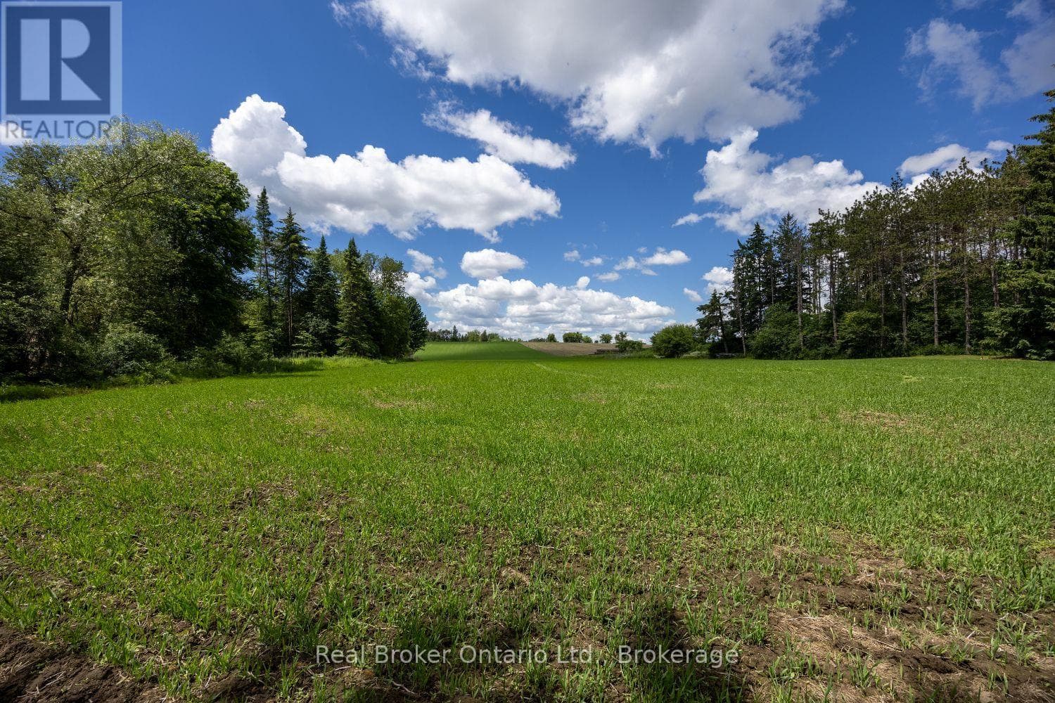 Vacant Land at 4206 Middle Road, Clarington, Ontario - Photo 10 - RE/MAX Garden City Realty