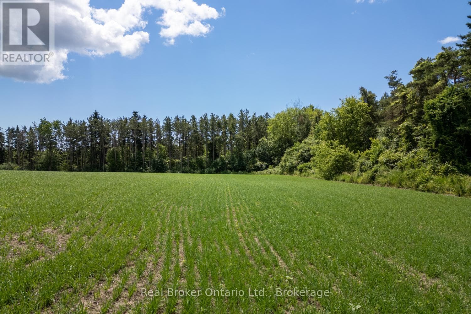 Vacant Land at 4206 Middle Road, Clarington, Ontario - Photo 2 - RE/MAX Garden City Realty