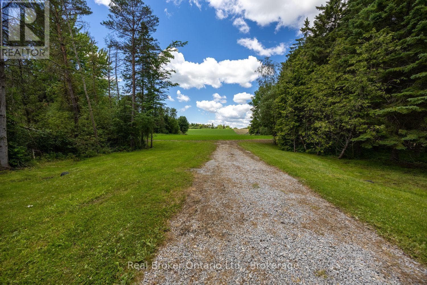 Vacant Land at 4206 Middle Road, Clarington, Ontario - Photo 5 - RE/MAX Garden City Realty