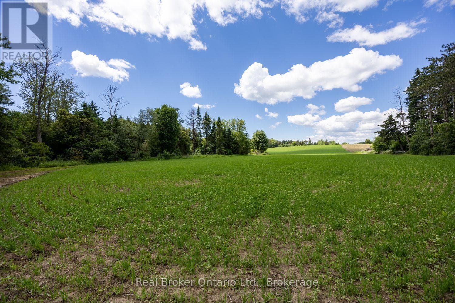 Vacant Land at 4206 Middle Road, Clarington, Ontario - Photo 7 - RE/MAX Garden City Realty