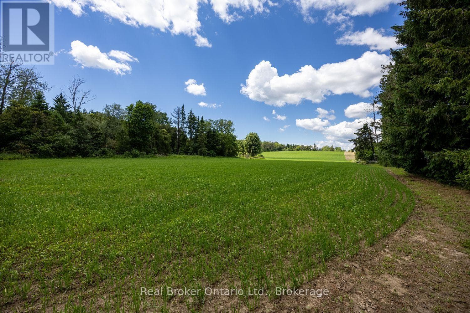 Vacant Land at 4206 Middle Road, Clarington, Ontario - Photo 8 - RE/MAX Garden City Realty