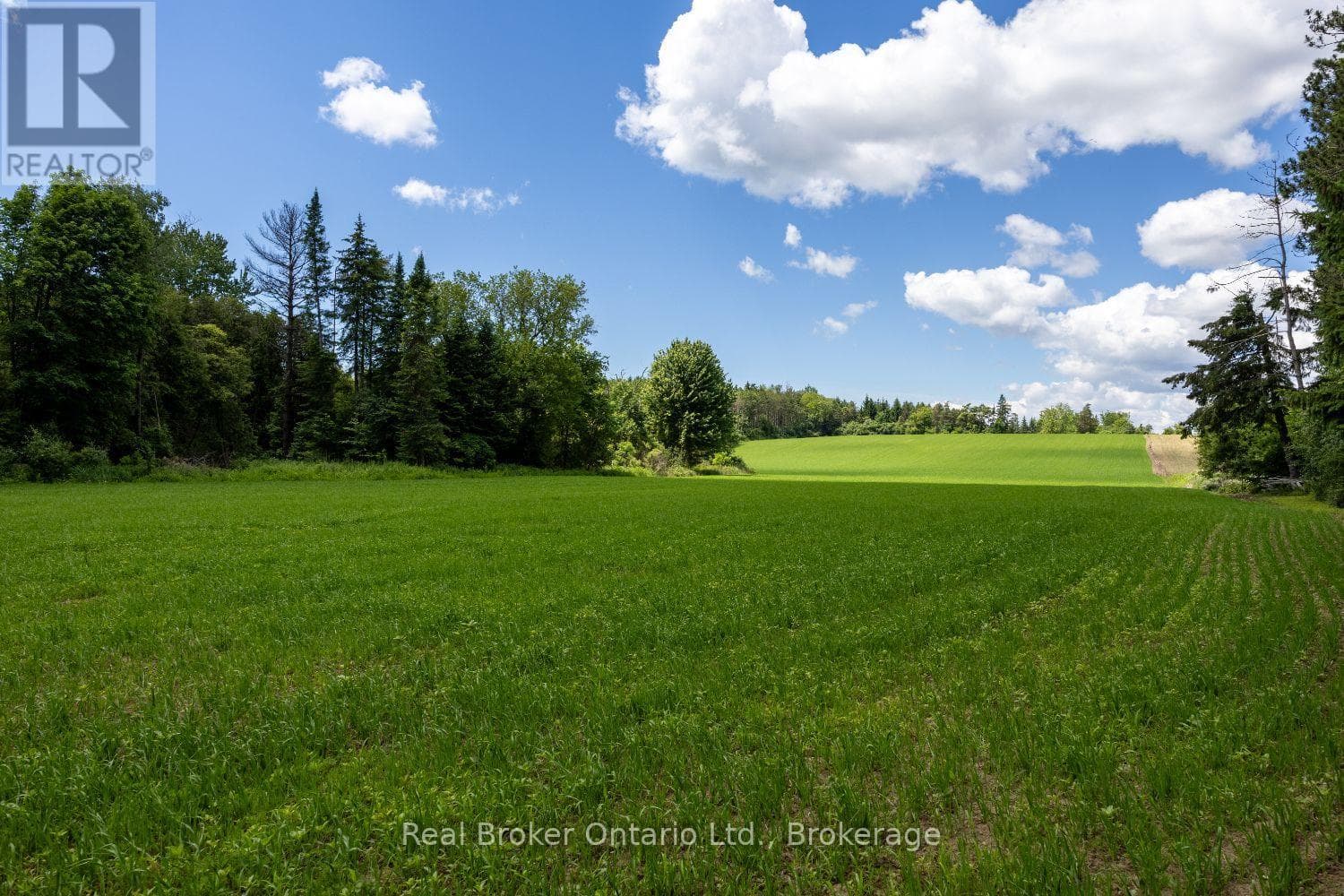 Vacant Land at 4206 Middle Road, Clarington, Ontario - Photo 9 - RE/MAX Garden City Realty