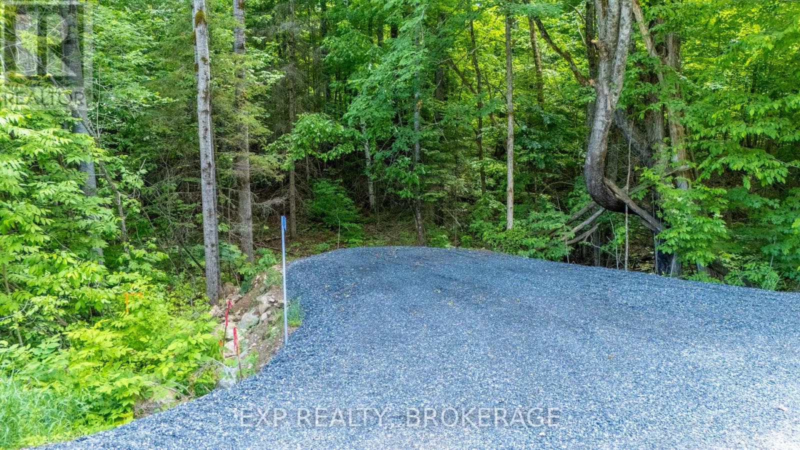 1931 ELM TREE Road