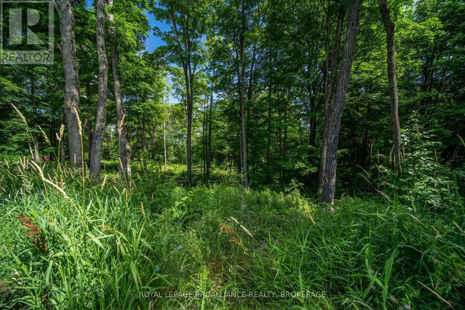 Vacant Land at Townline Road, Frontenac (Frontenac Centre), Ontario - Photo 7 - RE/MAX Garden City Realty
