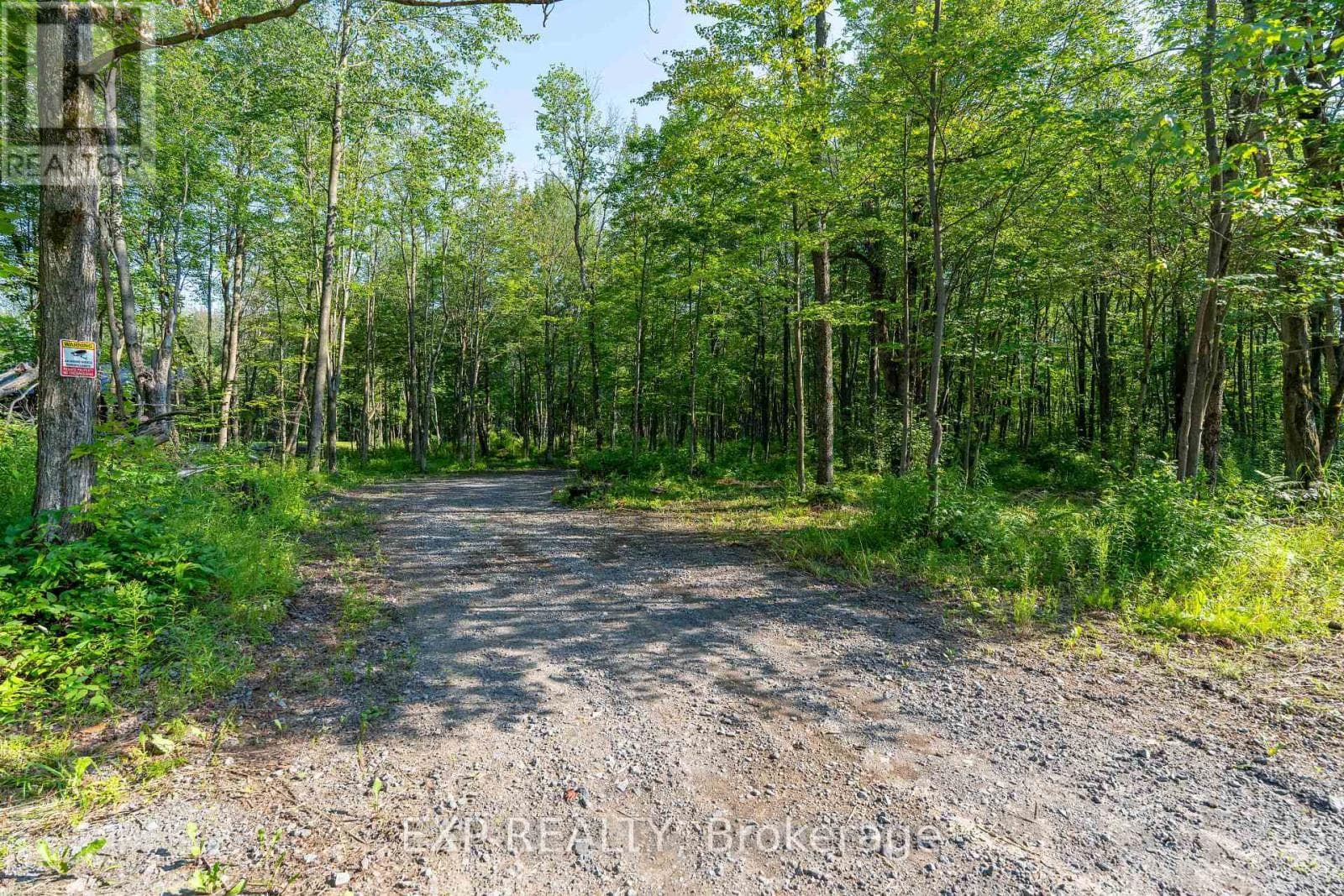 Lot 20 CONCESSION 4 Road