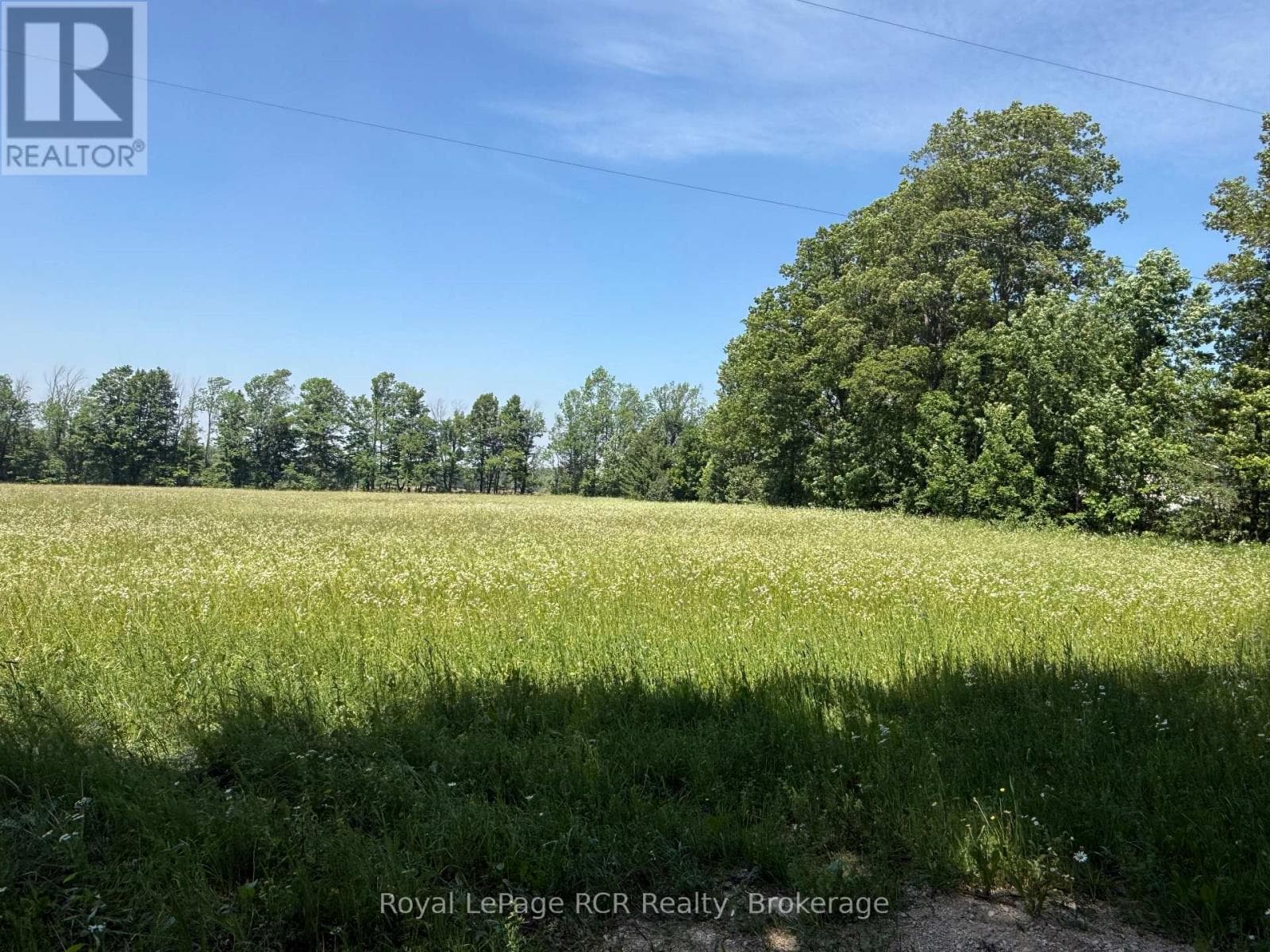 Vacant Land at Lot 2 Part Lot 17 Bells Lake Road, West Grey, Ontario - Photo 6 - RE/MAX Garden City Realty