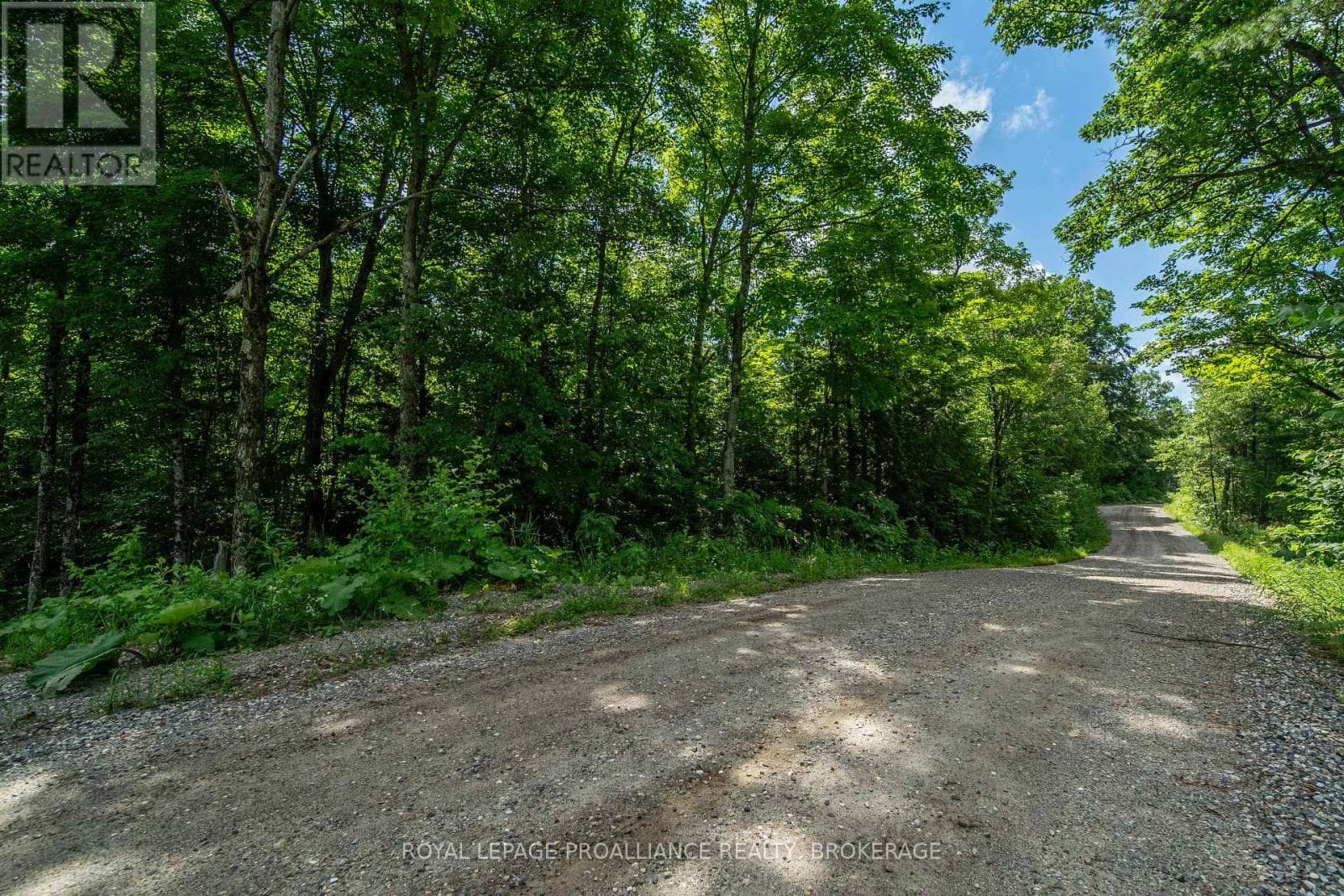 Vacant Land at Townline Road, Frontenac (Frontenac Centre), Ontario - Photo 9 - RE/MAX Garden City Realty
