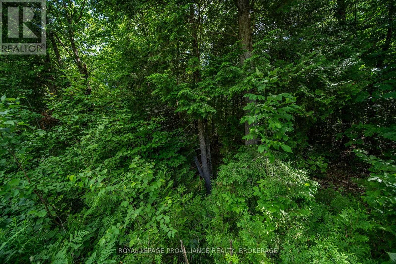 Vacant Land at Townline Road, Frontenac (Frontenac Centre), Ontario - Photo 10 - RE/MAX Garden City Realty