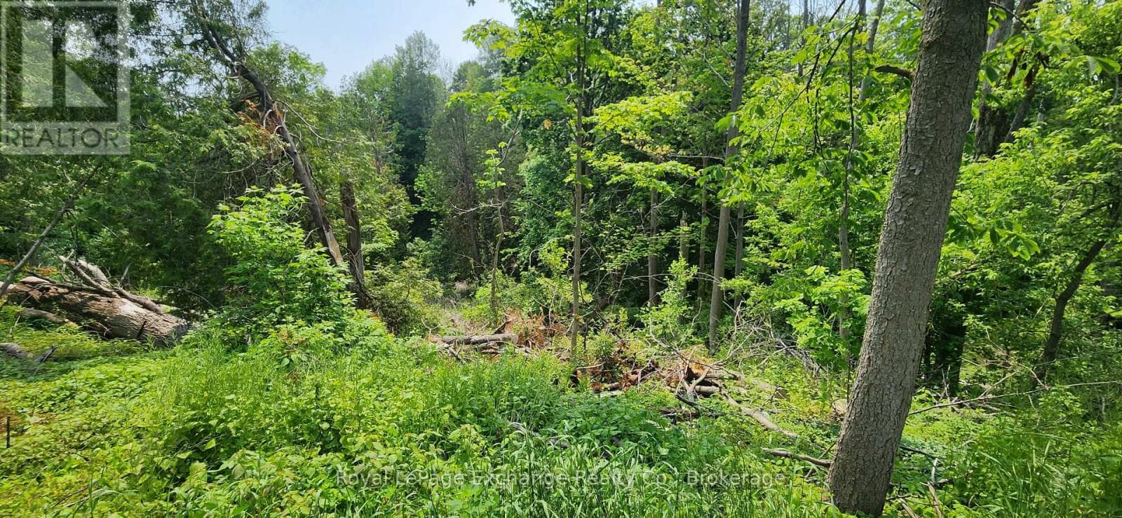 Vacant Land at 444 Durham Street, Kincardine, Ontario - Photo 4 - RE/MAX Garden City Realty