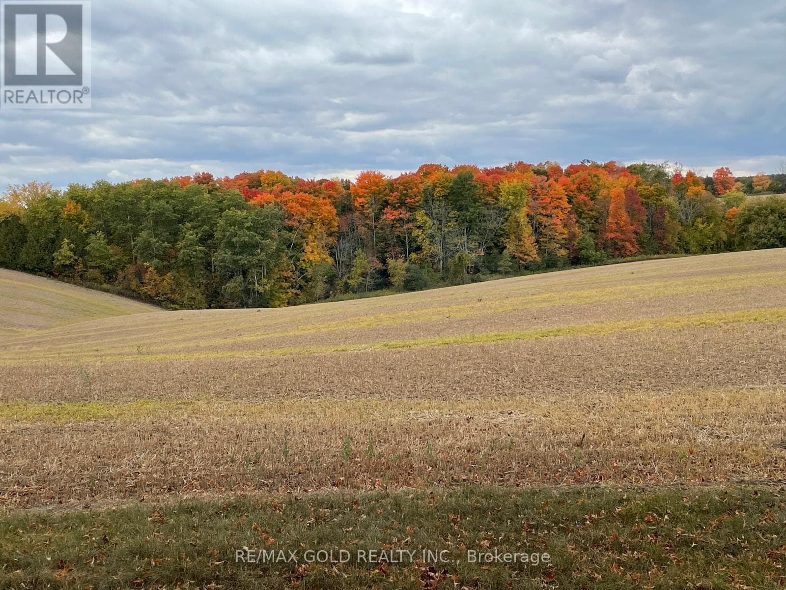 Single Family at 7815 15th Sideroad, King (Schomberg), Ontario - Photo 5 - RE/MAX Garden City Realty