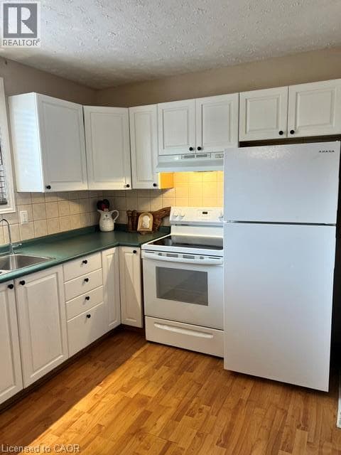 Single Family at 1- 227 FERGUS Avenue, Kitchener, Ontario - Photo 2 - RE/MAX Garden City Realty