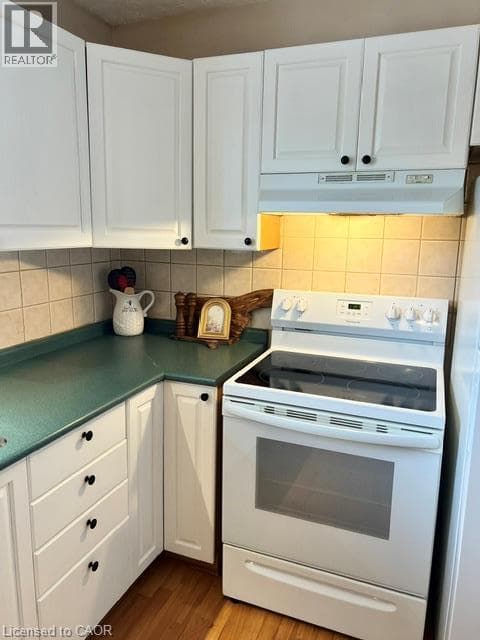 Single Family at 1- 227 FERGUS Avenue, Kitchener, Ontario - Photo 4 - RE/MAX Garden City Realty