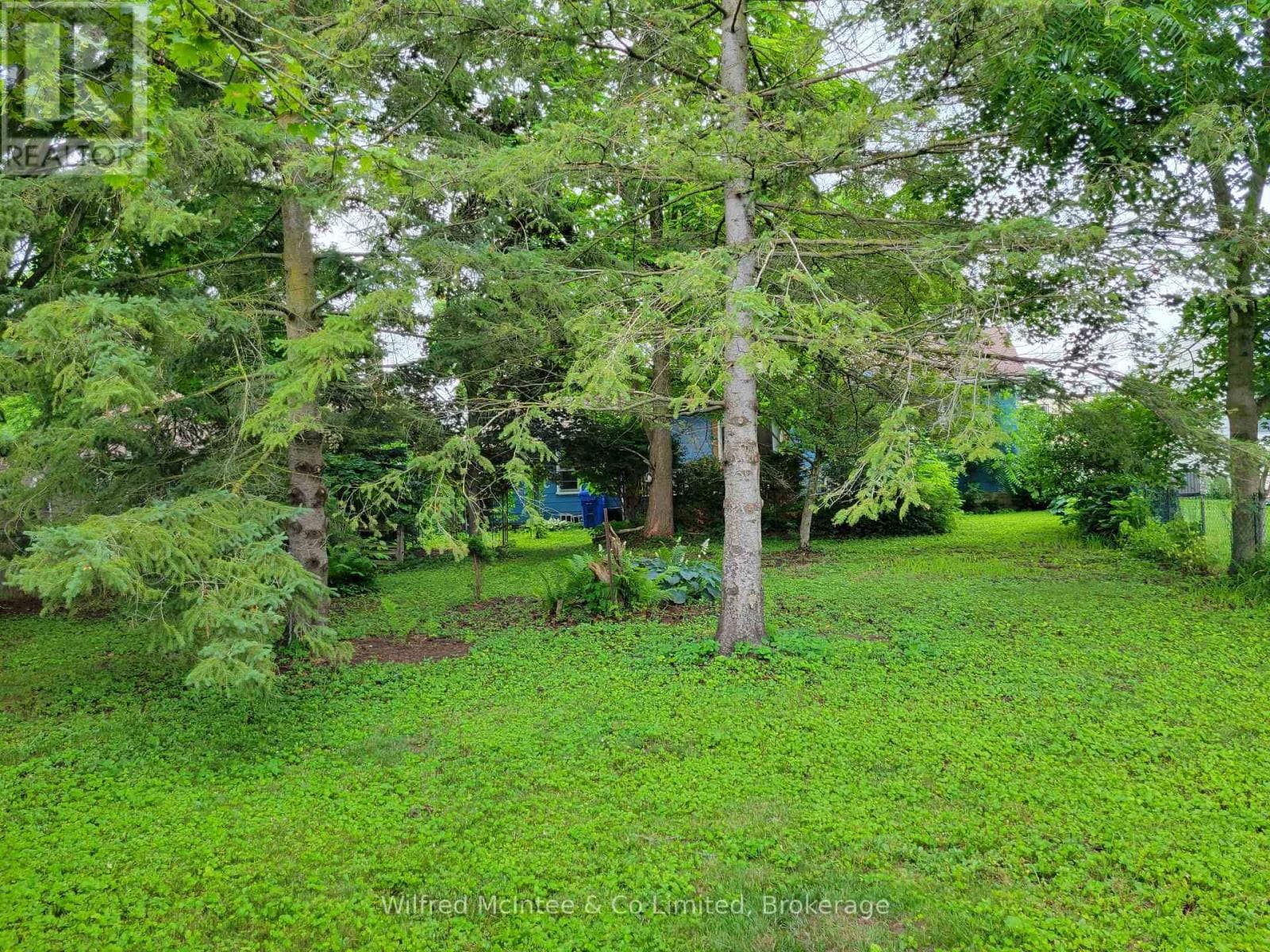 Single Family at 575 11th Street, Hanover, Ontario - Photo 4 - RE/MAX Garden City Realty