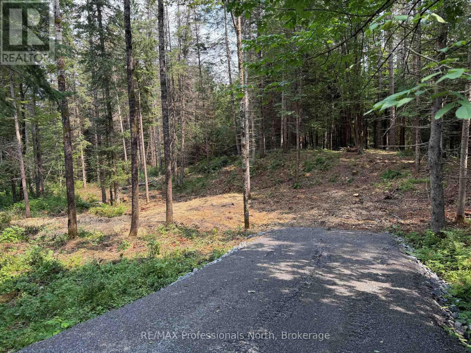 1313 Williamsport Road