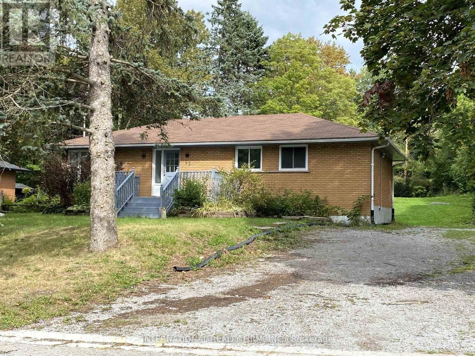 Bsmt- 53 Belfry Drive