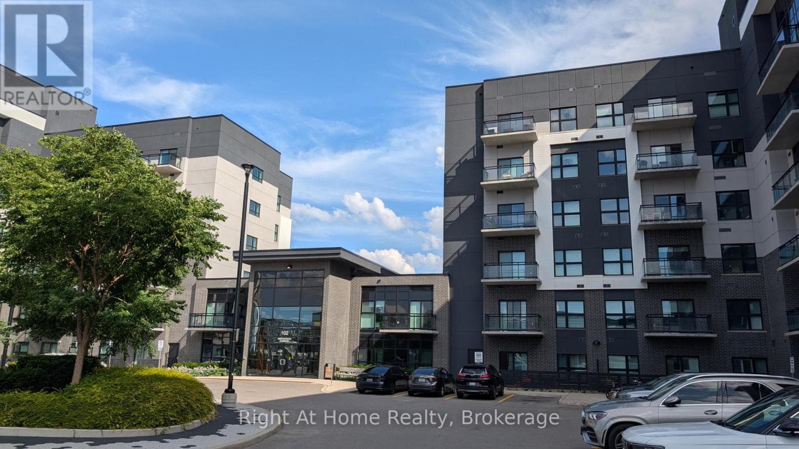 527- 102 GROVEWOOD Common