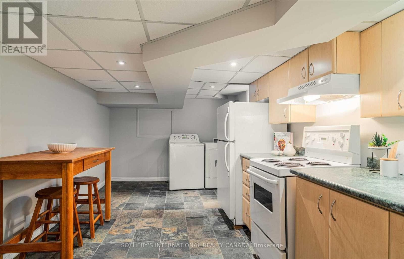 Single Family at Lower- 213 Shaw Street, Toronto (Trinity-Bellwoods), Ontario - Photo 3 - RE/MAX Garden City Realty
