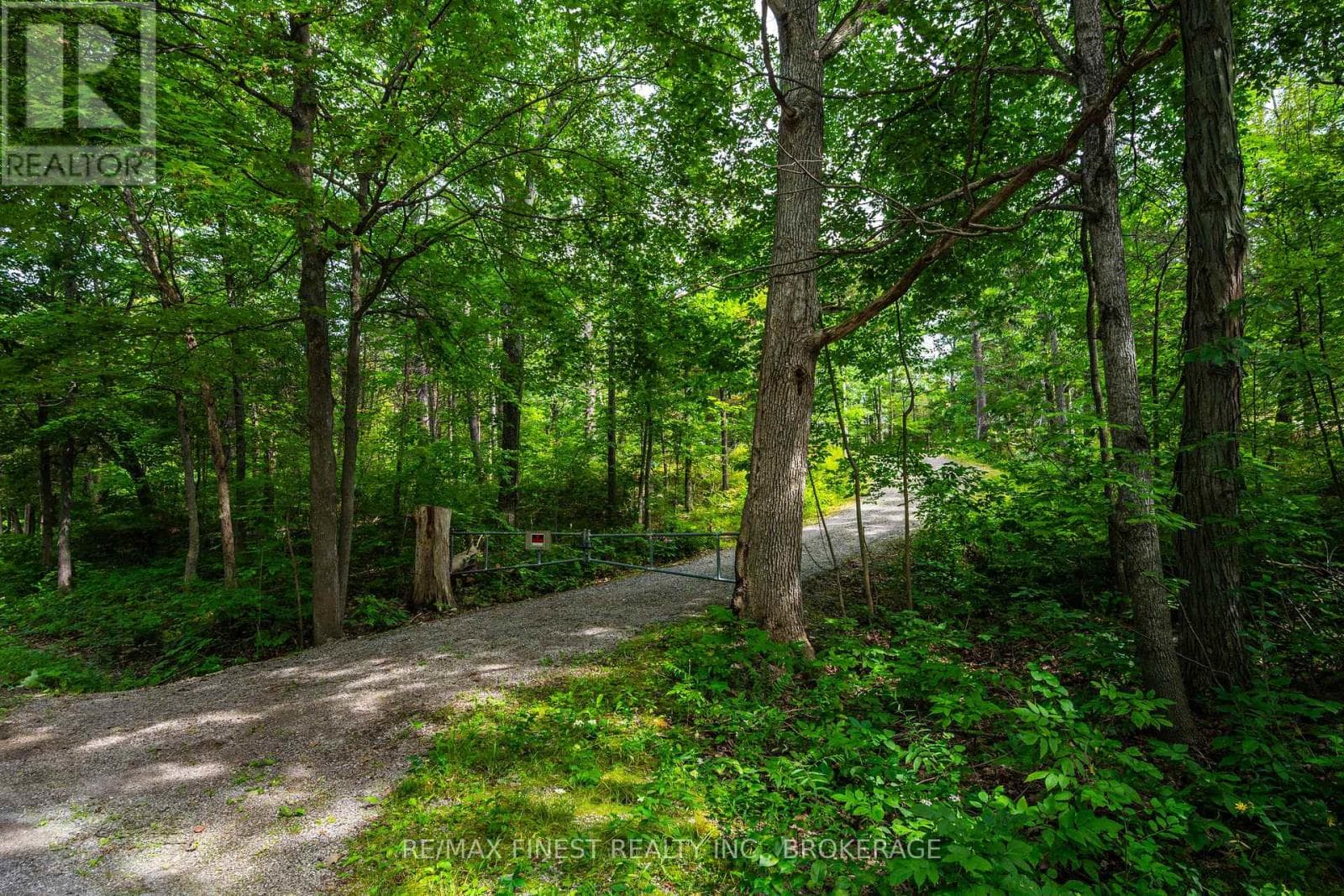 169 OLD RIVER Road
