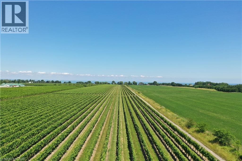 Agriculture at 3705 SERVICE Road, Beamsville, Ontario - Photo 4 - RE/MAX Garden City Realty