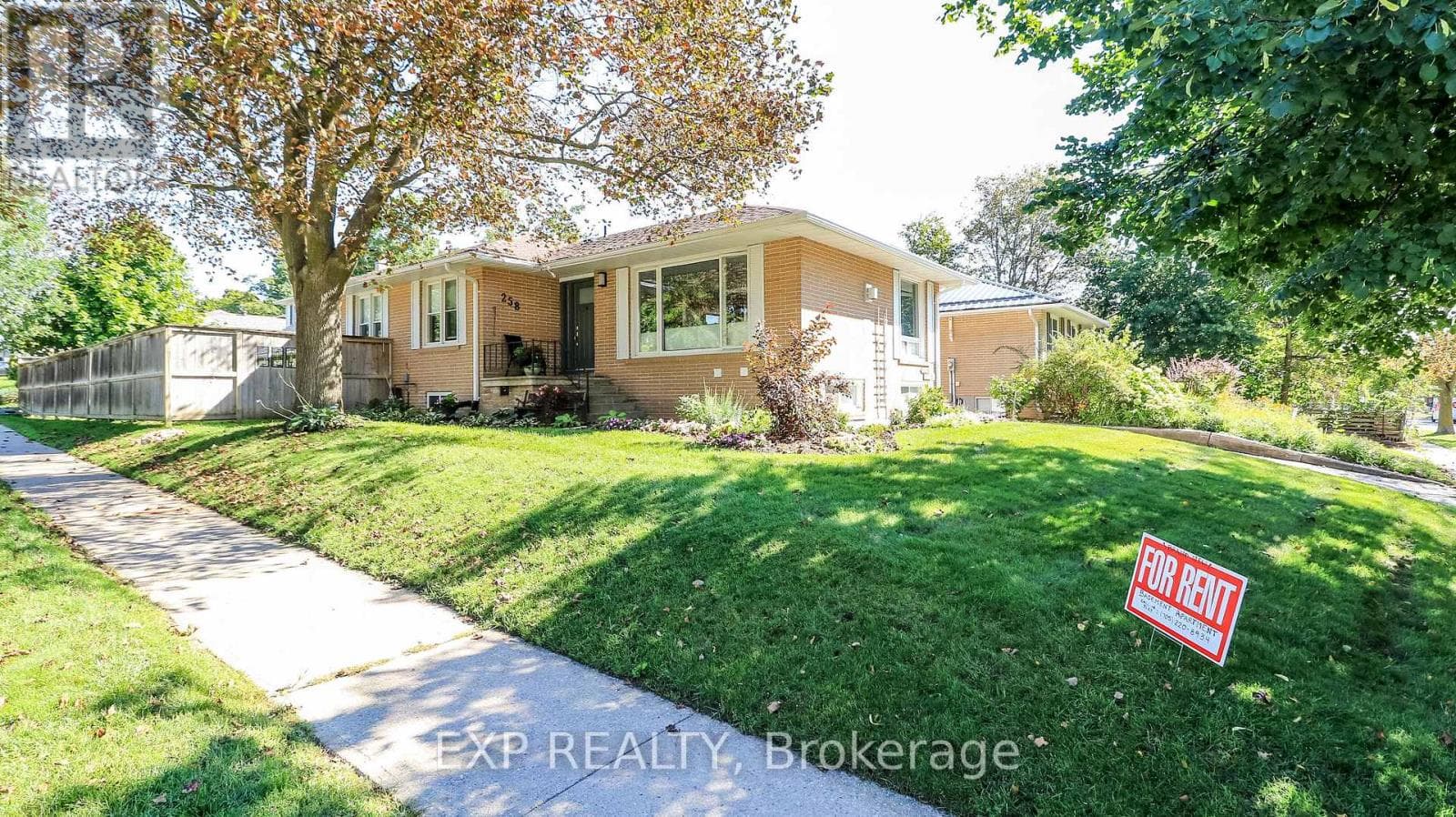Single Family at Basement- 258 Napier Street, Barrie (Codrington), Ontario - Photo 10 - RE/MAX Garden City Realty