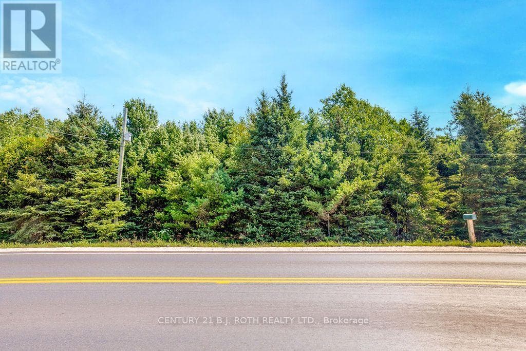 Vacant Land at 1327 Monck Road, Ramara, Ontario - Photo 9 - RE/MAX Garden City Realty