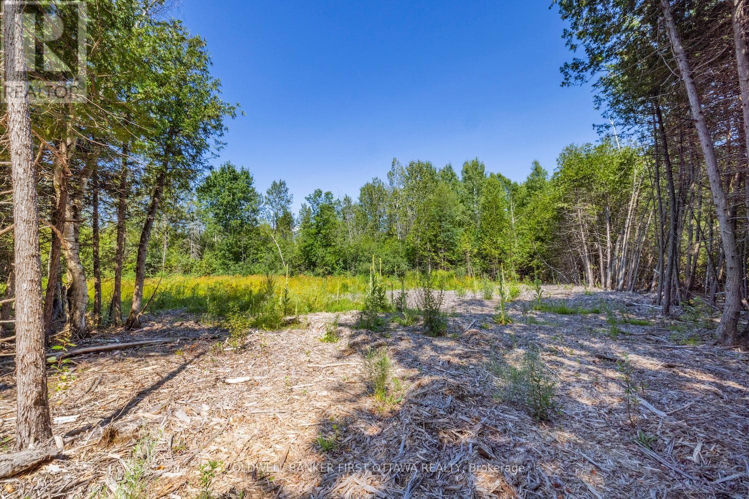 Vacant Land at 0 Forbes Road, North Grenville, Ontario - Photo 6 - RE/MAX Garden City Realty