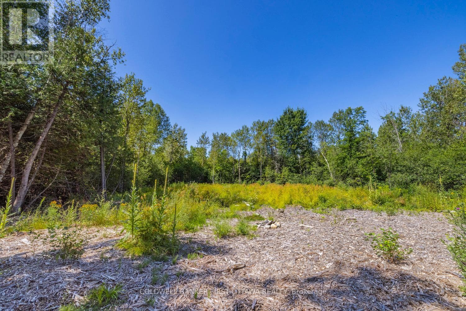Vacant Land at 0 Forbes Road, North Grenville, Ontario - Photo 7 - RE/MAX Garden City Realty