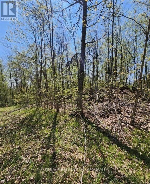 0 Burke Settlement Road