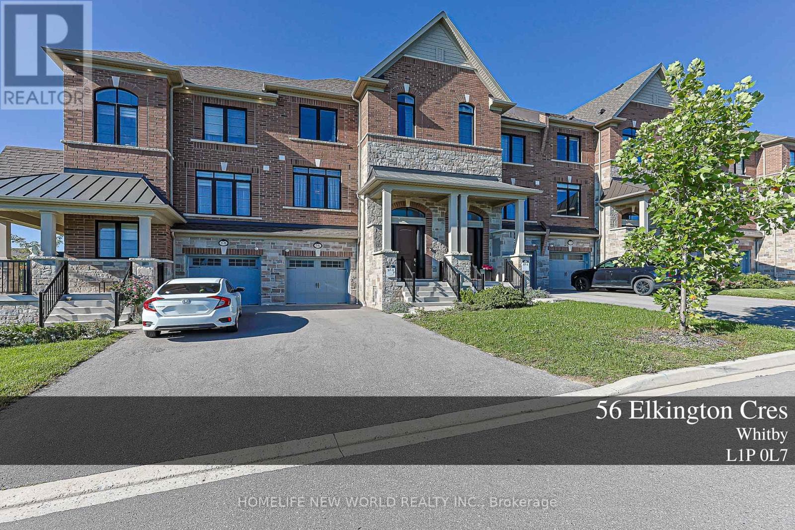 56 Elkington Crescent