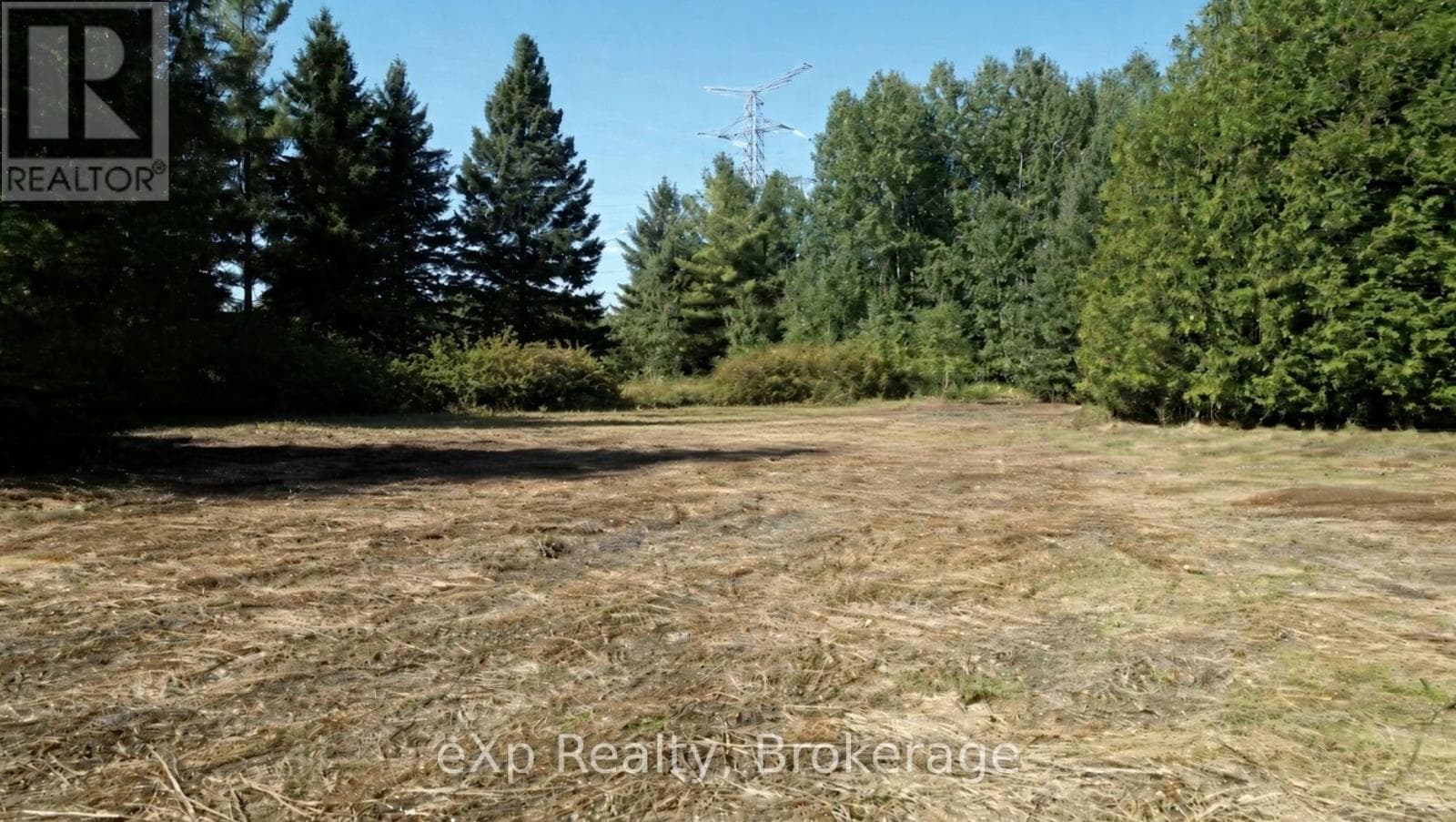 133272 ALLAN PARK Road