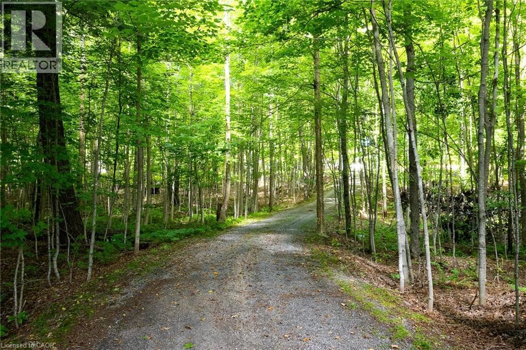 Single Family at 115 TANNERS Lane, Magnetawan, Ontario - Photo 2 - RE/MAX Garden City Realty