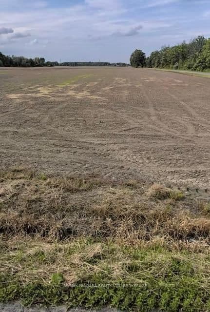 Vacant Land at PT 20 CROWN Road, West Lincoln, ON - Photo 1 - RE/MAX Garden City Realty