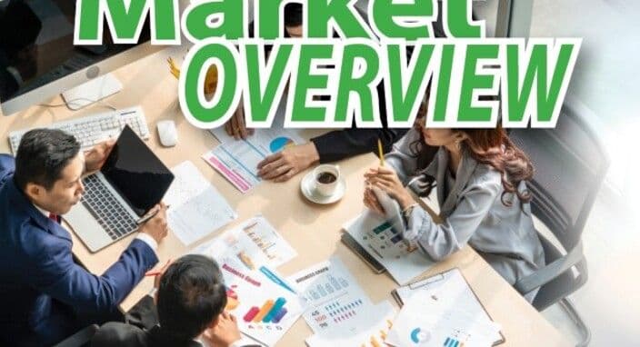 August 2024 - Market Update - Are Falling Rates Impacting The Market?