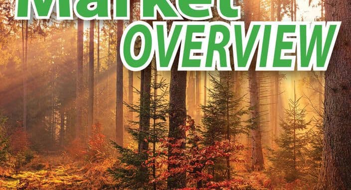 Market Overview - Market Remains Hot Into Fall