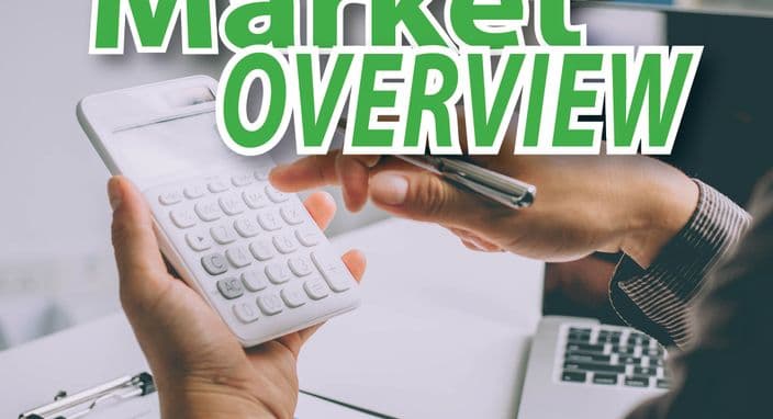 August 2023 - Market Update - Market Continues to Struggle